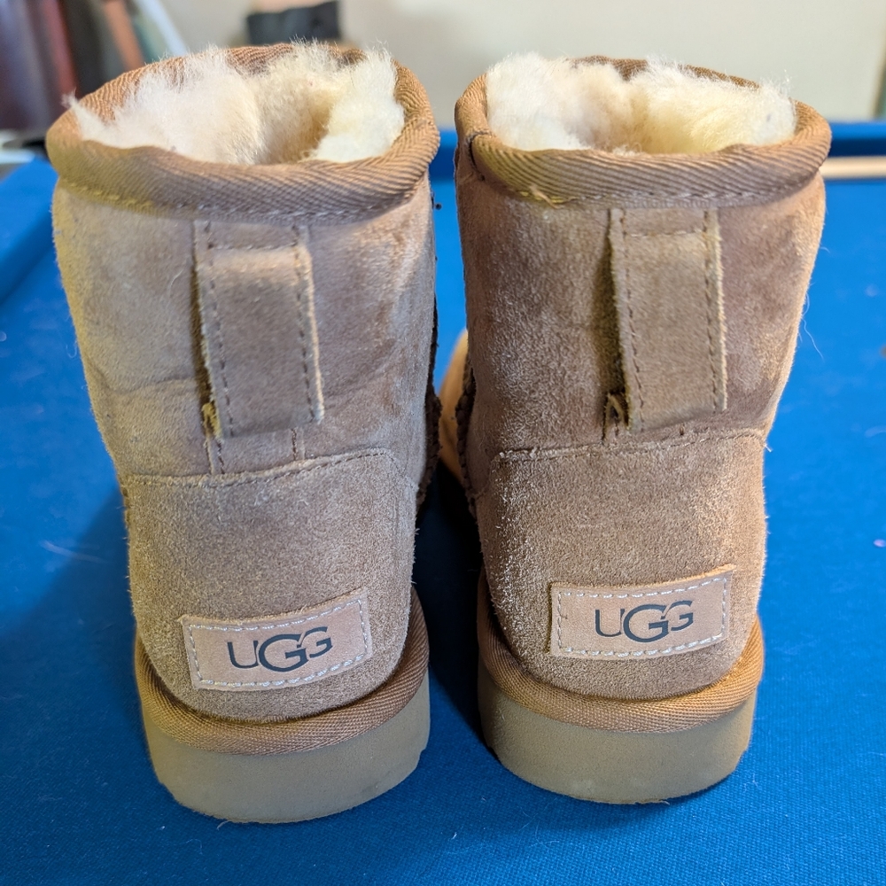 UGGs W5 Chestnut short Boots